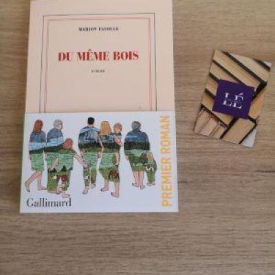 Du même bois - Marion FAYOLLE  
